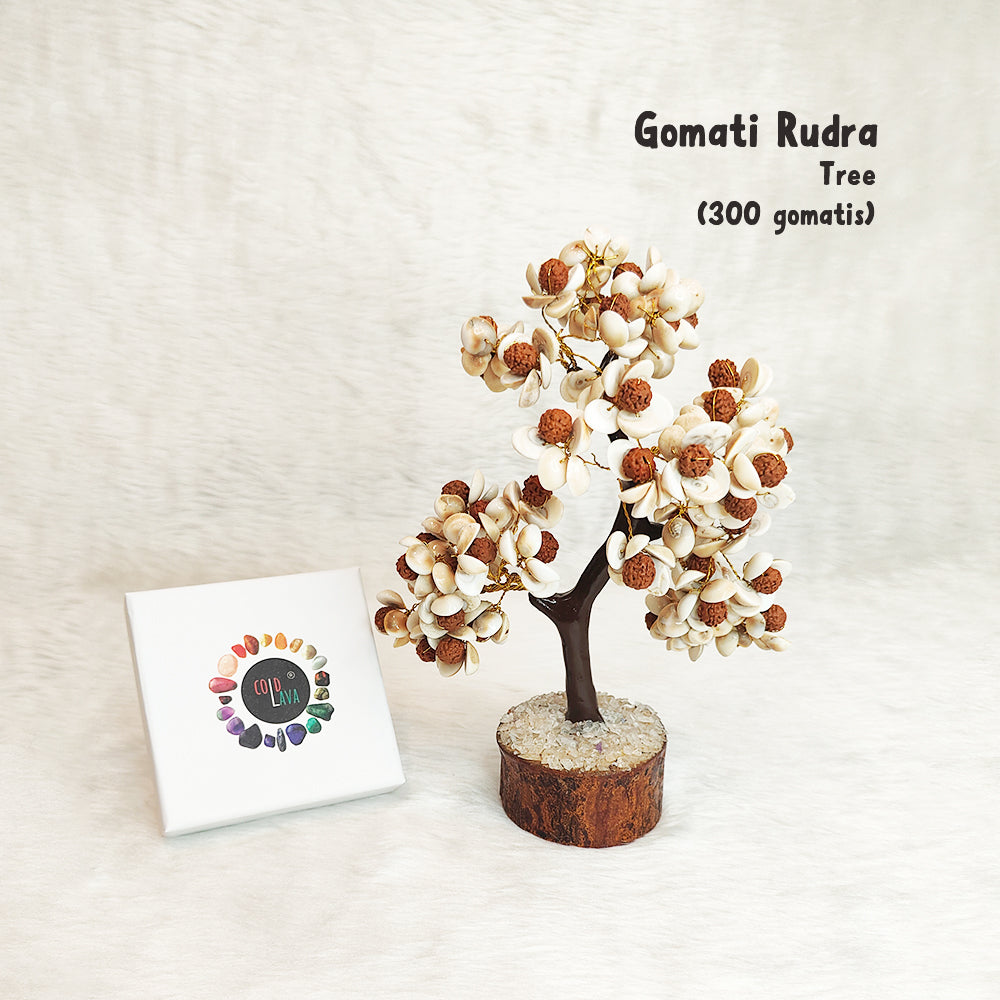 Gomati Rudraksha Tree