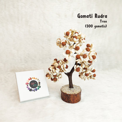 Gomati Rudraksha Tree