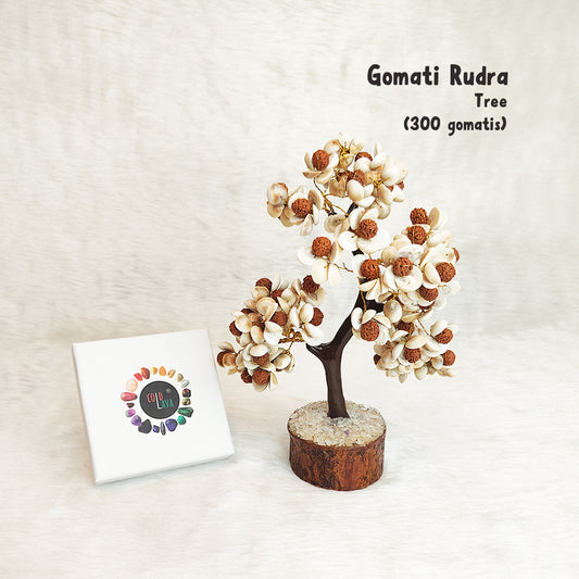 Gomati Rudraksha Tree