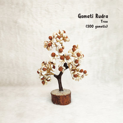 Gomati Rudraksha Tree