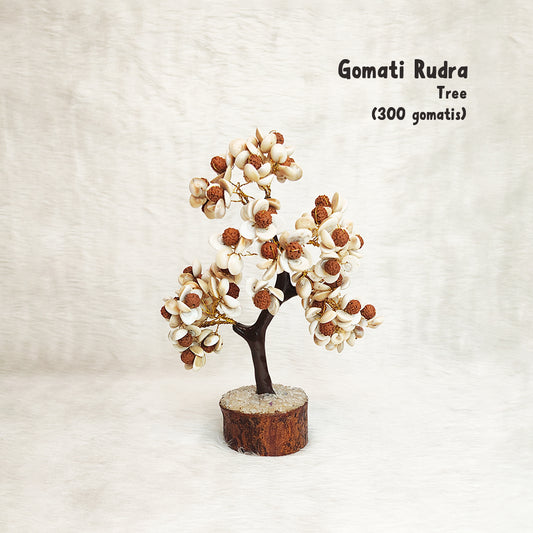 Gomati Rudraksha Tree